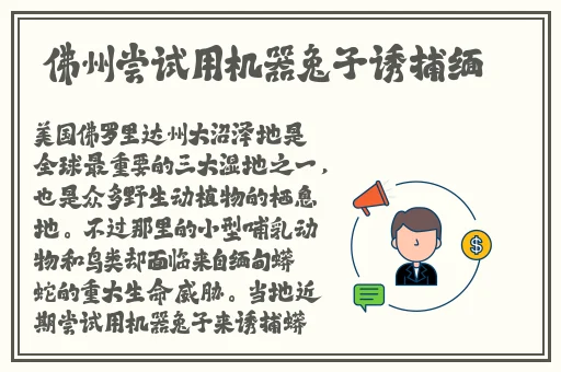 趣夜直播app